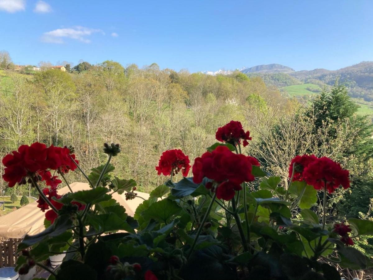 Casa Elena Cangas De Onis Con Wifi Y Parking Gratuito 外观 照片
