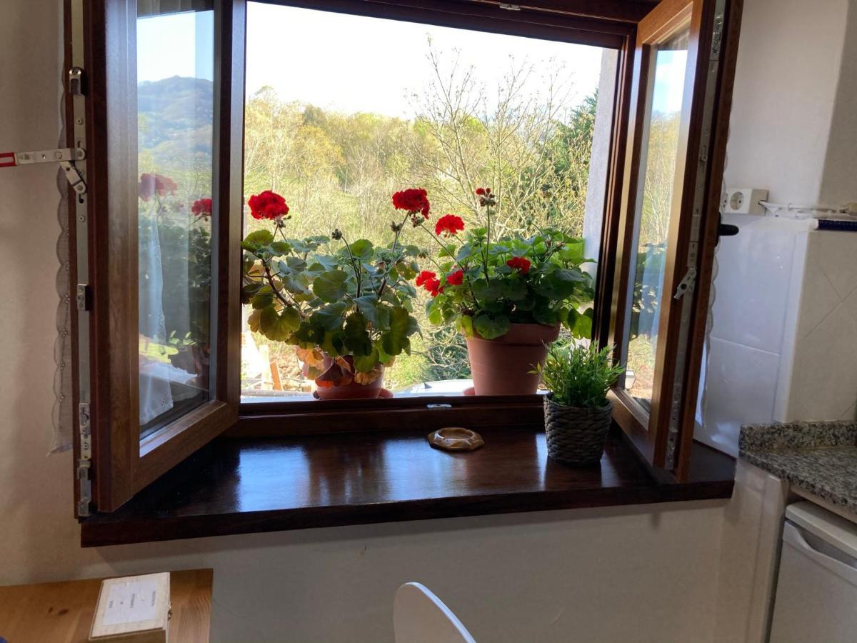 Casa Elena Cangas De Onis Con Wifi Y Parking Gratuito 外观 照片