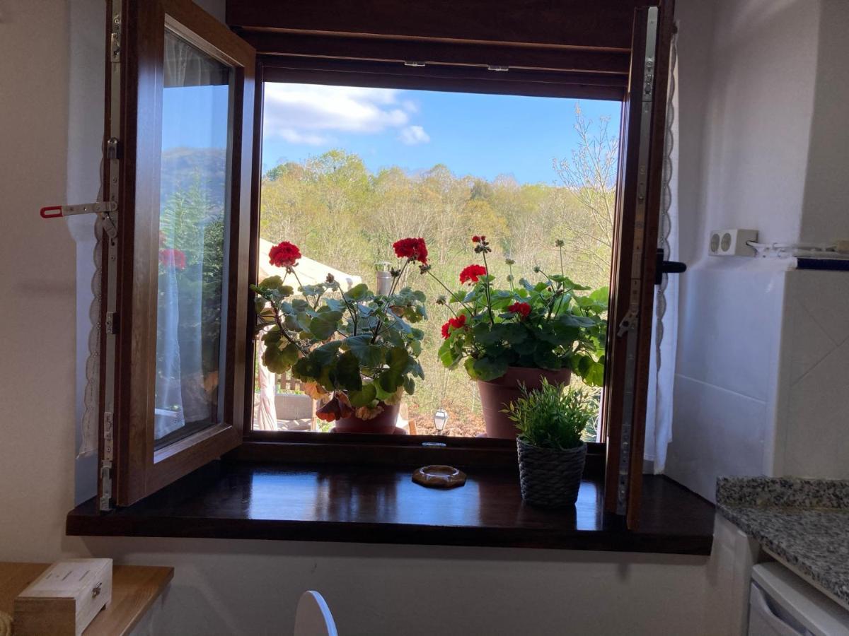 Casa Elena Cangas De Onis Con Wifi Y Parking Gratuito 外观 照片