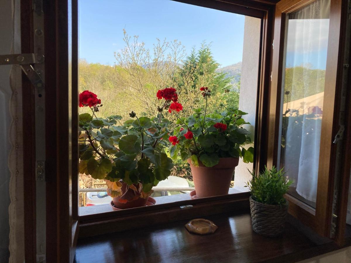 Casa Elena Cangas De Onis Con Wifi Y Parking Gratuito 外观 照片