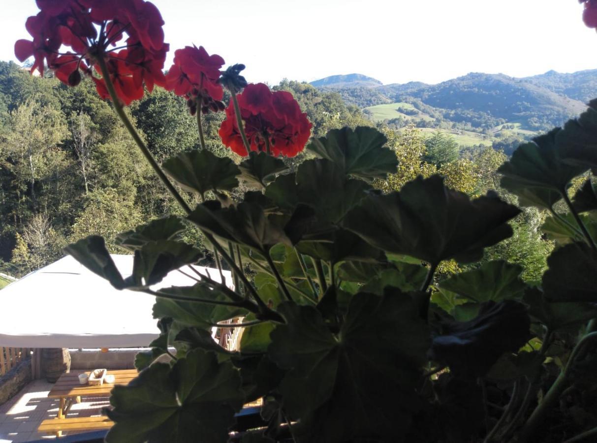 Casa Elena Cangas De Onis Con Wifi Y Parking Gratuito 外观 照片